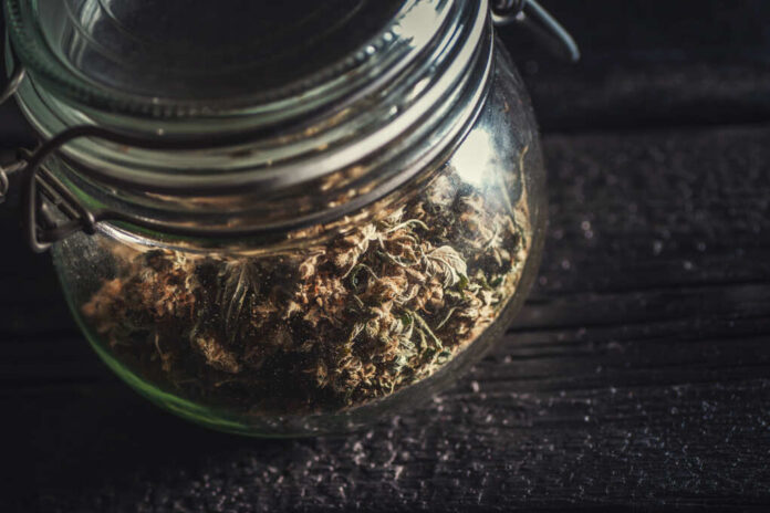 Medical,Marijuana,Products,,Dried,Bud,,Cbd,Marihuana
