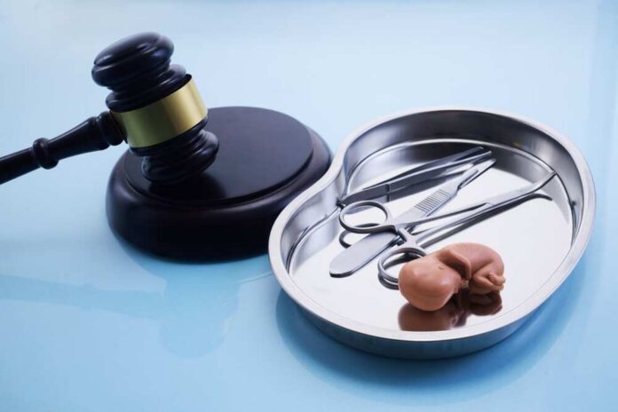 A gavel next to a surgical tray containing medical instruments and an anatomical model