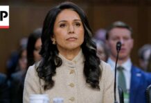 Top Spy’s STUNNING Exit Sparks DC Turmoil Tulsi Gabbard resigns as Trump’s national intelligence director
