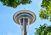 View of the Seattle Space Needle surrounded by green leaves against a blue sky