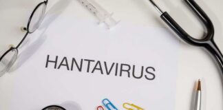 Document titled 'HANTAVIRUS' surrounded by medical tools and paper clips