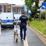 Warning Came Before Deadly Attack Police officer walking with a K9 on a wet city street