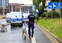Police officer walking with a K9 on a wet city street