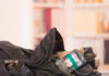Mystery Bombing Stuns Monaco Elite A backpack containing a mobile phone and wires, suggesting a suspicious setup