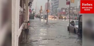 JUST IN: Flash Floods Hit New York City Amid Heavy Rains