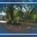 Judge orders Seattle to address lewd behavior at Denny Blaine Park
