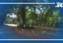 Court Steps In At Seattle Nude Park Judge orders Seattle to address lewd behavior at Denny Blaine Park