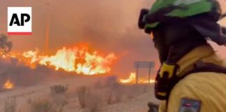 Spain Wildfire Death Toll Climbs