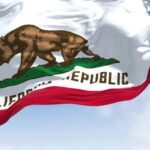California state flag featuring a bear and a star