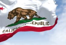 Budget Raid Hits California Classrooms California state flag featuring a bear and a star