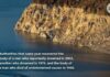 Lake Mead Gives Up Another Body Woman, friends discover potential human remains at Lake Mead in Las Vegas