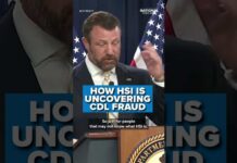 Mullin REVEALS illegal migrant trucker CRACKDOWN | 1,000 FRAUD cases being investigated