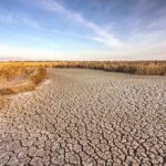 A dry, cracked landscape with sparse grass and a blue sky