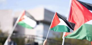 Person waving a Palestinian flag at a rally