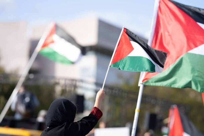 shutterstock_2378182811 Person waving a Palestinian flag at a rally
