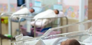 newborns in hospital bassinets