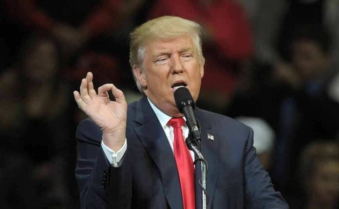 shutterstock_1427778662 Donald Trump speaking at a rally with microphone and raised hand gesture