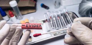 Gloved hands handling a swab and evidence tube