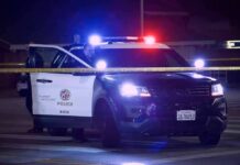 ICE Ends Chases After Deadly Stops Police SUV with flashing lights at night behind yellow tape