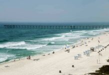 El Niño Twist: Turtles Hit California Sandy beach with turquoise waves and a long pier