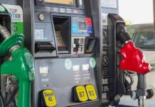 Pump Panic or Relief? Trump Flips Diesel Rules Gas pump with green diesel and red gasoline nozzles